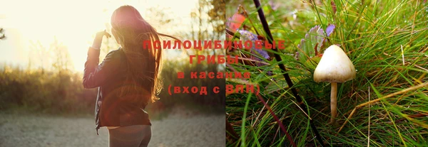 apvp Кукмор
